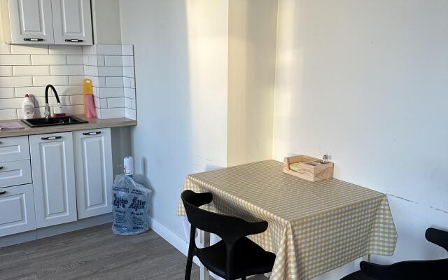 Studiya naprotiv gorodskogo parka Flat