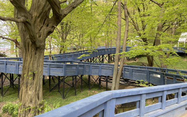 Квартира в Пионерском (Нойкурен)