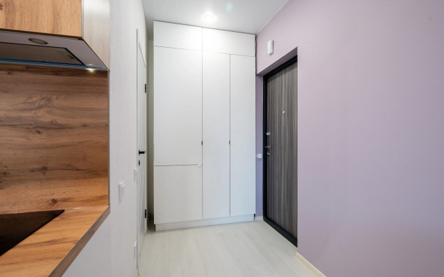 Uyutnaya Studiya S Novym Remontom Apartments