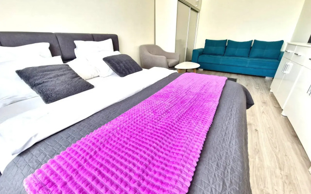 Апартаменты Вальдау на Гагарина 101, Колибри#101