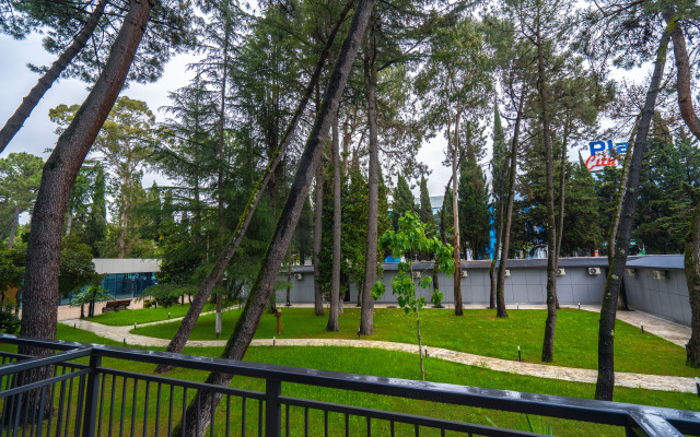 PosutochnoSochi.rf V Tsentre Adlera Apartments