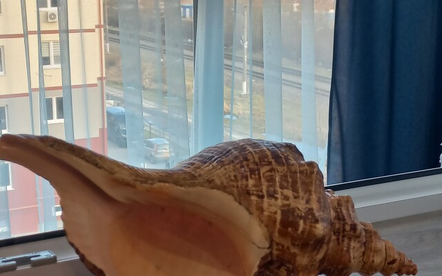 Апартаменты Морская бухта