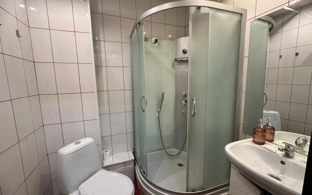 Апартаменты Жуковского 1/2/10с2 (312)