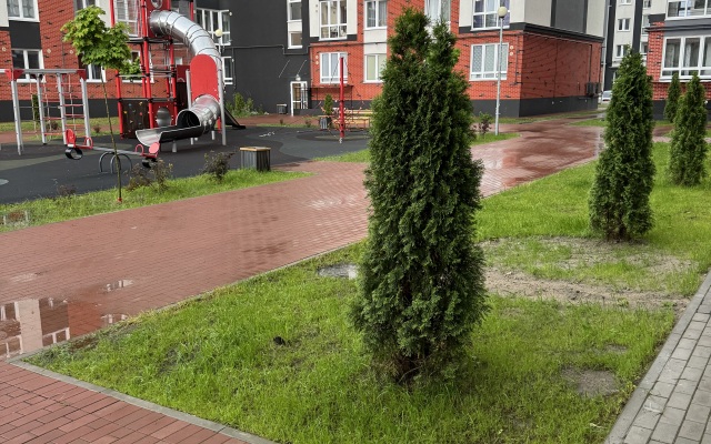 Uyutnaya Kvartira V Zhk Rodina Flat