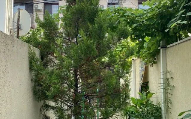 Na Kuvshinok 7k1 22 Flat