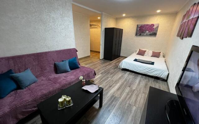 Квартира уютная в Сокольниках