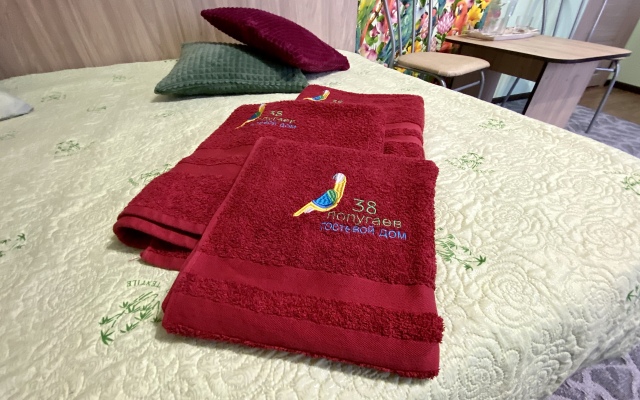 38 Popugaev Guest House