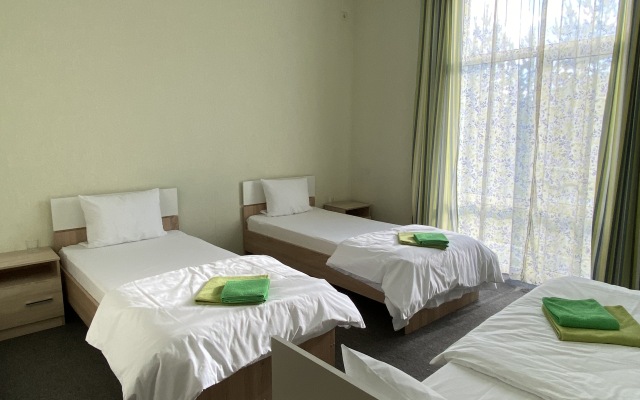 Novaya Yelnya Guest house