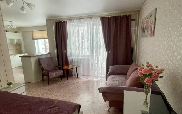 Квартира Стильная Студия от Сети 100Квартир