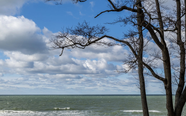 Апартаменты LovelyHome39 Студия  4 в Пионерском