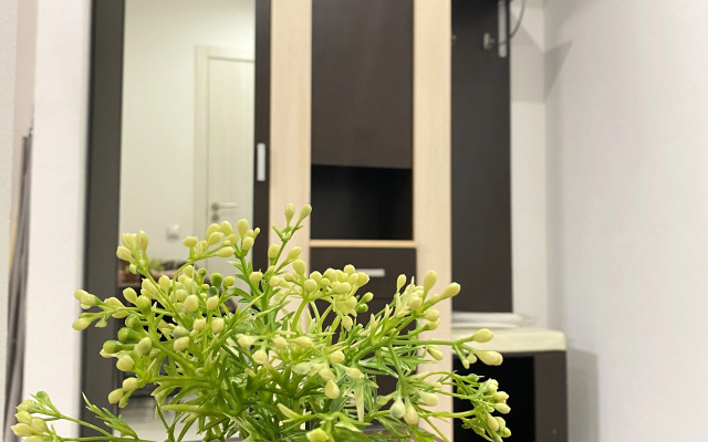 Квартира вместительная студия