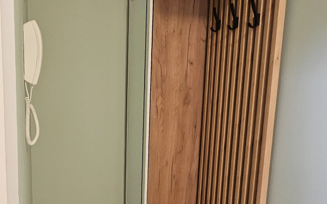 Квартира уютная с видом на парк