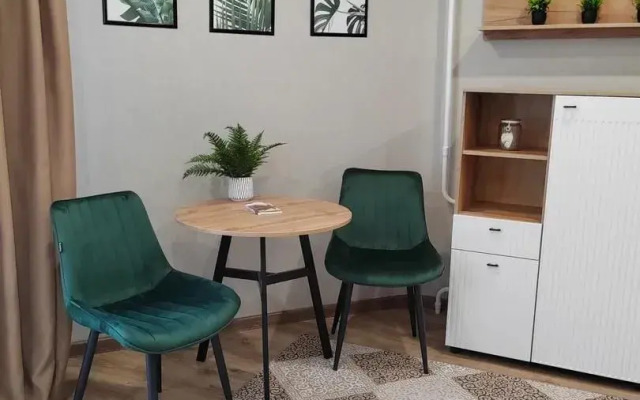 Na Krasnoarmeyskom Prospekte 9 Flat