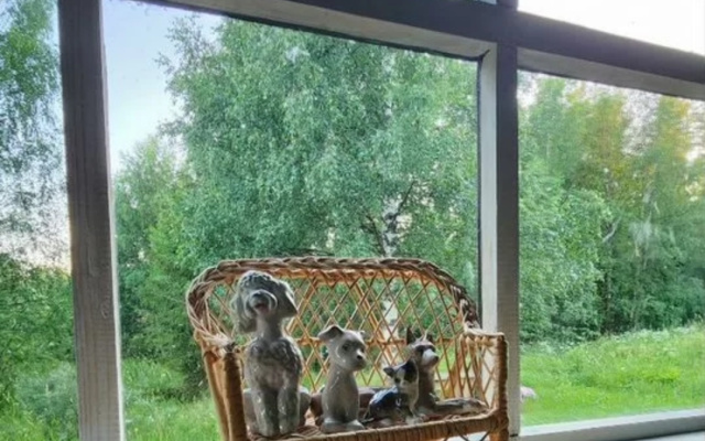 Частный дом у леса
