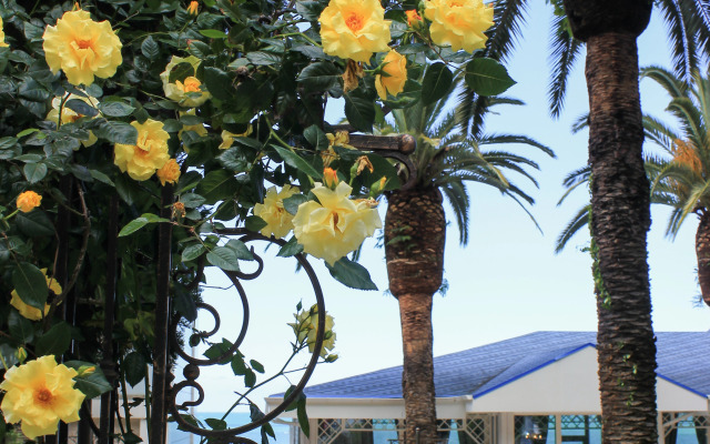 Imeni Chelyskintsev Hotel