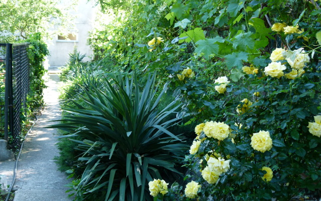 Na Ploschadi Zaharova Guest House