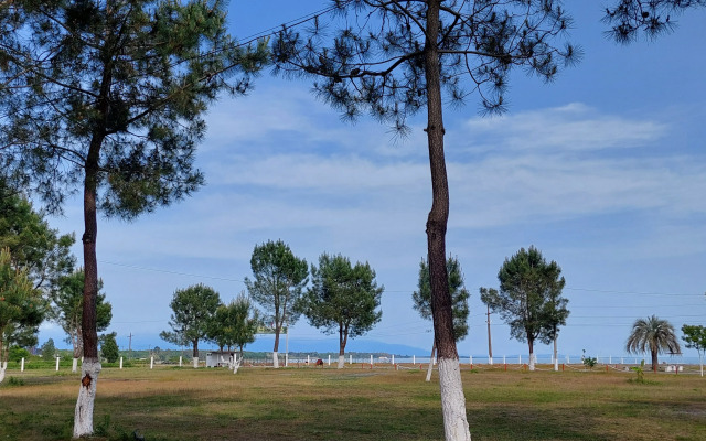 Sosnovy Bor Resort