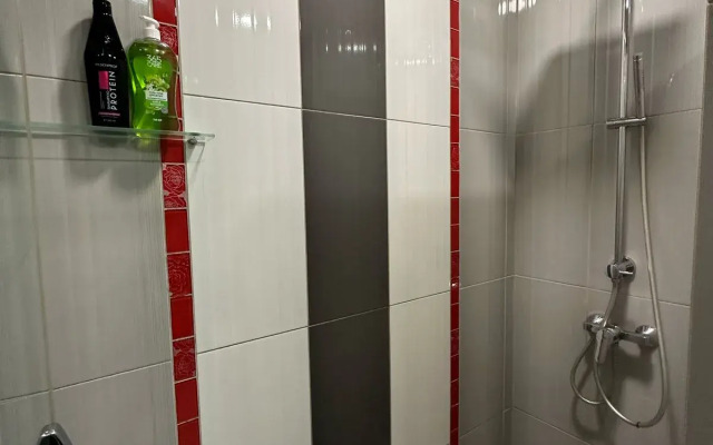 Apartamenty v tsentr goroda Omsk Flat