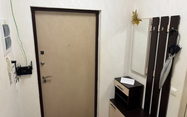 Квартира на Ветеранов 171к5