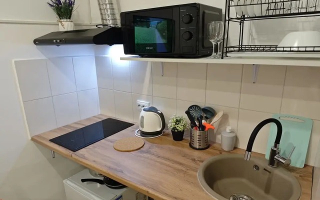 Studiya Na 2kh Na Tukhachevskogo 49/1-13 Flat