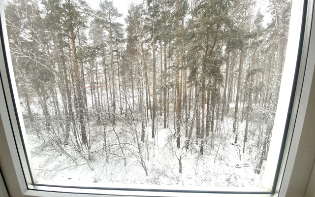 Квартира Жёлтый Нарцисс