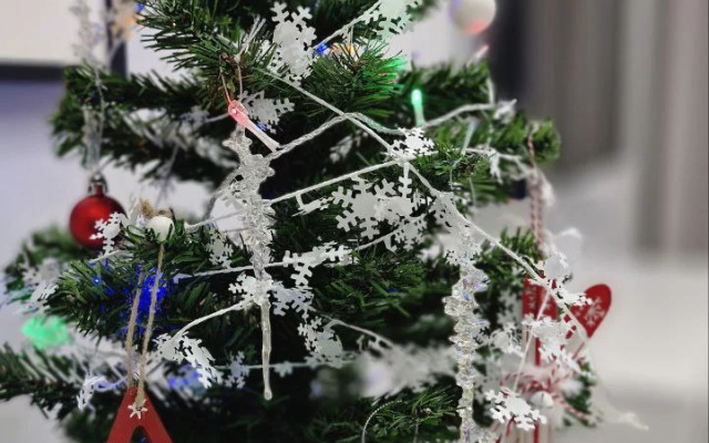 Апартаменты Мики Интуит