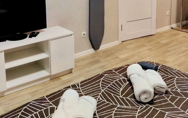 Kvartira Prostornaa studia radom s aeroportom