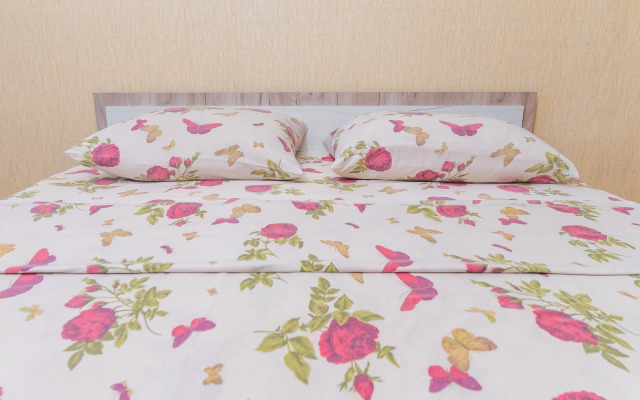 Апартаменты на Алтайской 2/2