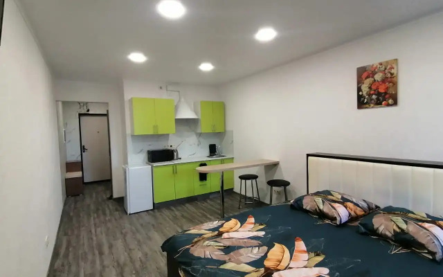 Uyutnaya Studiya V Novom Zhk Flat