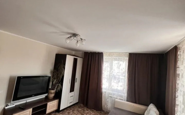 Апартаменты 37 на улице Елизаровых 15/1