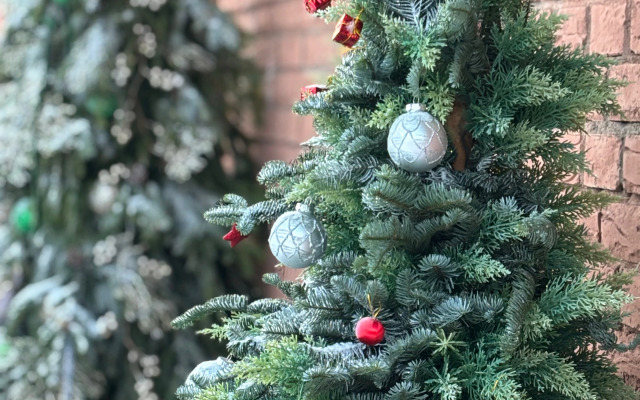 Отель Кристал