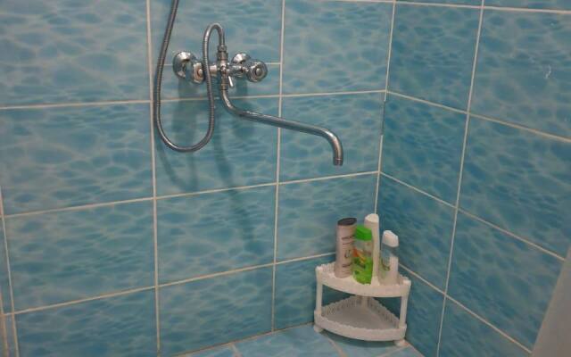 Частный дом Уютный на Cелигере