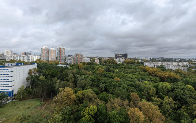 Квартира-студия с шикарным видом на Амур