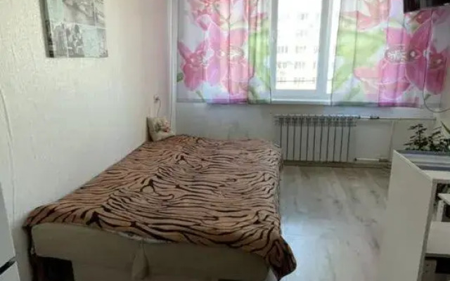 Апартаменты Студия на Надибаидзе 30