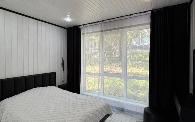 Частный дом в лесу