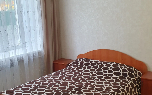 odnokomnatnaya v tsentre Flat