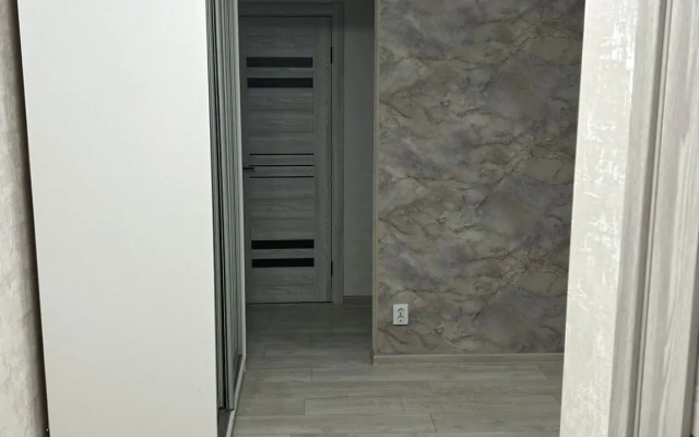 3-Kh Komnatnye U Aeroporta Apartments