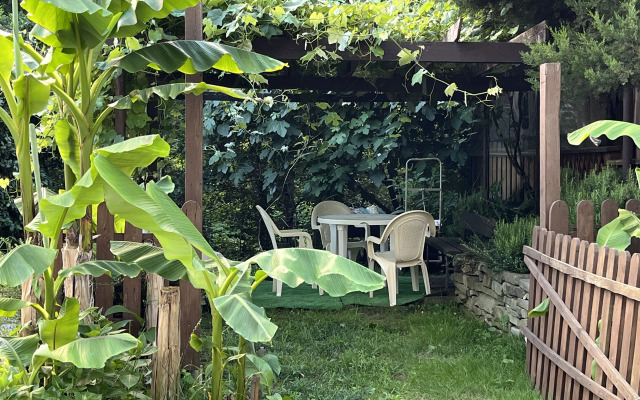 Svirskaya Tishina Guest House