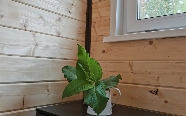 База отдыха Ефимов Глэмп