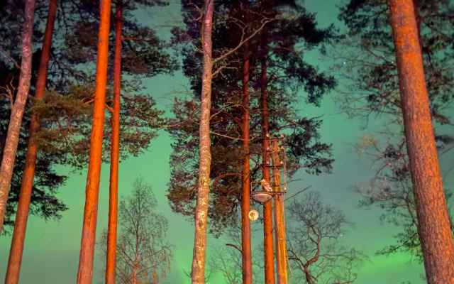 Отель Курорт Большое Борково