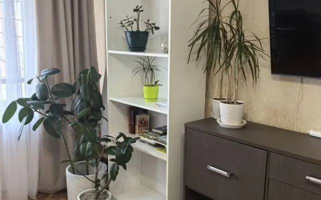 Квартира Уютная Двухкомнатная