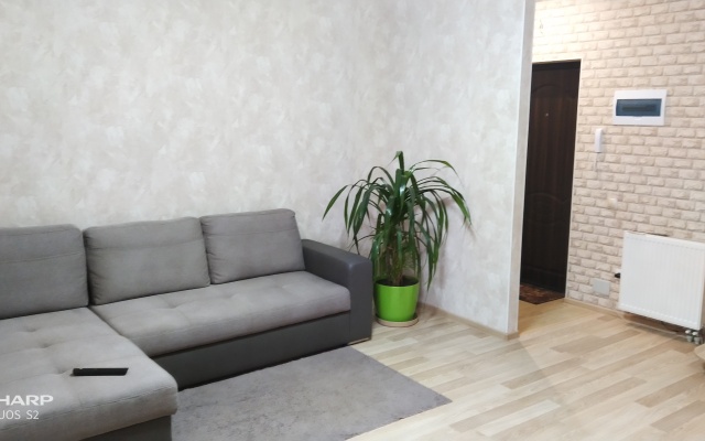 Апартаменты Ольга