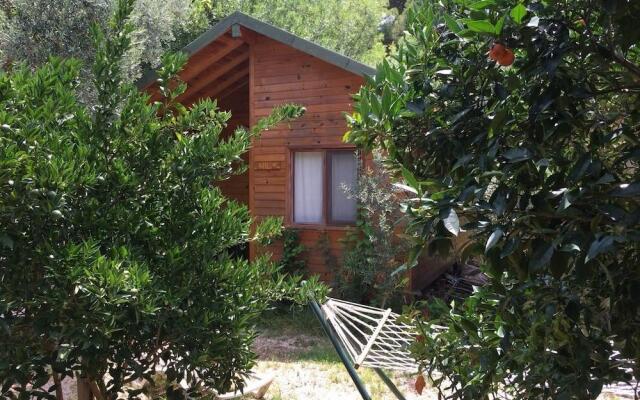 Halil Bungalow Villa