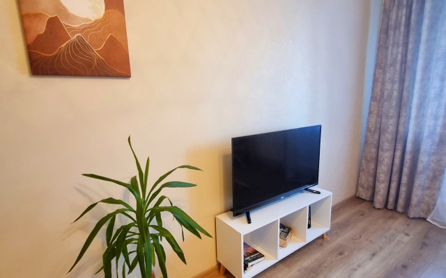 Dvukhkomnatnaya v tikhom rayone i blizko k metro Flat