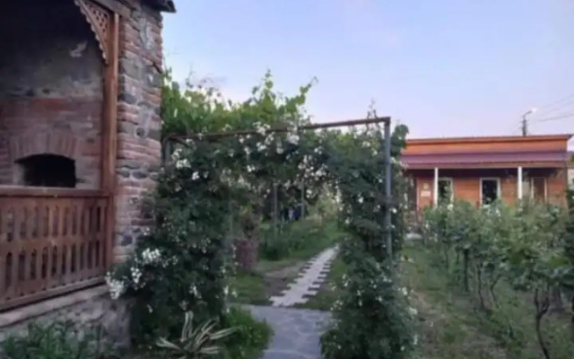 Pogreb Dedushki Gigo Guest house