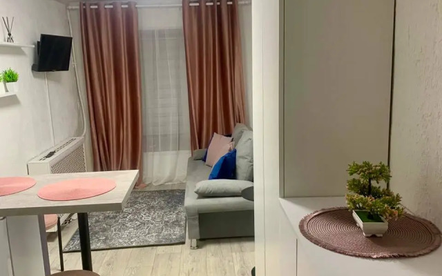 Апартаменты Студия N1 на Петроградке