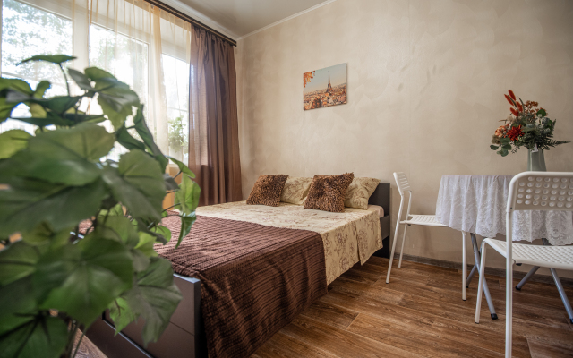 Parizhskiy Son Apartments Studio