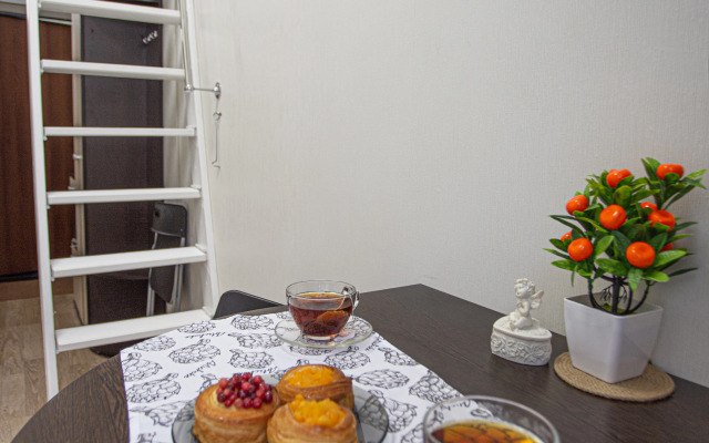 Апартаменты Chkalov