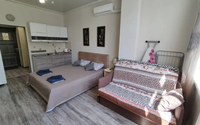 Uyutnaya studiya vozle morya Apartments
