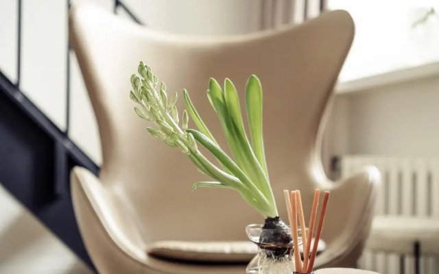 Апартаменты Matison Home